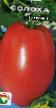 Los tomates variedades Solokha Foto y características