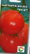 Los tomates variedades Shekherezada Foto y características
