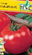Tomatoes varieties Gondola f1 Photo and characteristics