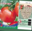 Los tomates variedades Paladin F1 Foto y características
