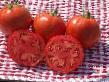 Tomatoes varieties Lakota F1 Photo and characteristics