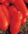 Los tomates variedades Cilao F1 Foto y características