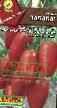 Tomatoes varieties Zabava Photo and characteristics