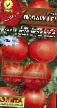 Los tomates variedades Lyubushka F1 Foto y características