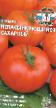 tomaatit lajit Nepasynkuyushhijjsya sakharnyjj kuva ja ominaisuudet
