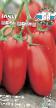 tomaatit lajit Car David kuva ja ominaisuudet
