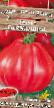 Los tomates variedades Garmoshka Foto y características