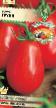 Los tomates  Grunya variedad Foto