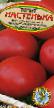 Los tomates  Nastenka variedad Foto