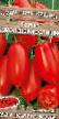 Tomater sorter Korolevskie slivki Fil och egenskaper