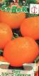 Tomatoes varieties Zlato skifov Photo and characteristics