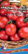 Tomater sorter Nepasynkuyushhijjsya Slivovidnyjj Fil och egenskaper