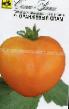 Tomater sorter Oranzhevyjj spam F1 Fil och egenskaper