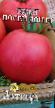 Tomatoes varieties Posejj Don F1 Photo and characteristics