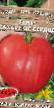 tomaatit lajit Sakharnoe serdce kuva ja ominaisuudet