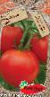 I pomodori le sorte Sakharnoe chudo foto e caratteristiche