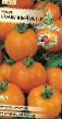 tomaatit lajit Solnechnyjj veter kuva ja ominaisuudet