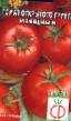 Los tomates variedades Izyashhnyjj Foto y características