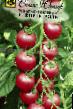 des tomates les espèces Forte Roze F1 Photo et les caractéristiques
