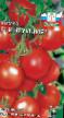 Los tomates  Intuiciya F1 variedad Foto