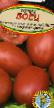 Ντομάτες ποικιλίες Boec φωτογραφία και χαρακτηριστικά