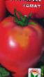 I pomodori le sorte Batyanya foto e caratteristiche
