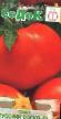 des tomates  Russkijj bogatyr l'espèce Photo
