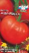 Tomatoes  Chudo rynka grade Photo