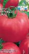 des tomates les espèces Rozovyjj car Photo et les caractéristiques