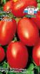 Los tomates variedades Car polejj Foto y características