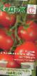 Los tomates  Amishka variedad Foto