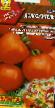 Tomater sorter Dolgozhitel F1 Fil och egenskaper