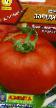 Los tomates  Zagadka variedad Foto