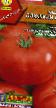 Los tomates  Plyushkin F1 variedad Foto