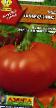 des tomates les espèces Primadonna F1 Photo et les caractéristiques
