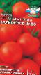 Tomatoes varieties Balkonnoe chudo Photo and characteristics