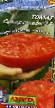 des tomates  Superstejjk F1 l'espèce Photo