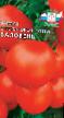 Tomatoes varieties Baloven Photo and characteristics