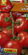 Los tomates variedades Sharik Foto y características