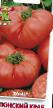 Tomatoes  Yaponskijj krab grade Photo