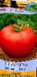 Tomater sorter Kalita F1  Fil och egenskaper