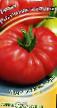 Tomatoes varieties Rozamarin funtovyjj Photo and characteristics