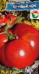des tomates les espèces Vechnyjj zov Photo et les caractéristiques