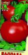 des tomates  Ballada l'espèce Photo