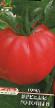 Los tomates  Brendi rozovyjj variedad Foto
