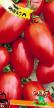 Los tomates variedades Inkas F1 Foto y características