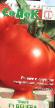 Tomatoes varieties Venera F1 Photo and characteristics