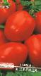 Los tomates  Korrida variedad Foto