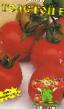 Los tomates  Tolstojj F1 variedad Foto