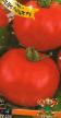 I pomodori le sorte Shedi Ledi F1 foto e caratteristiche
